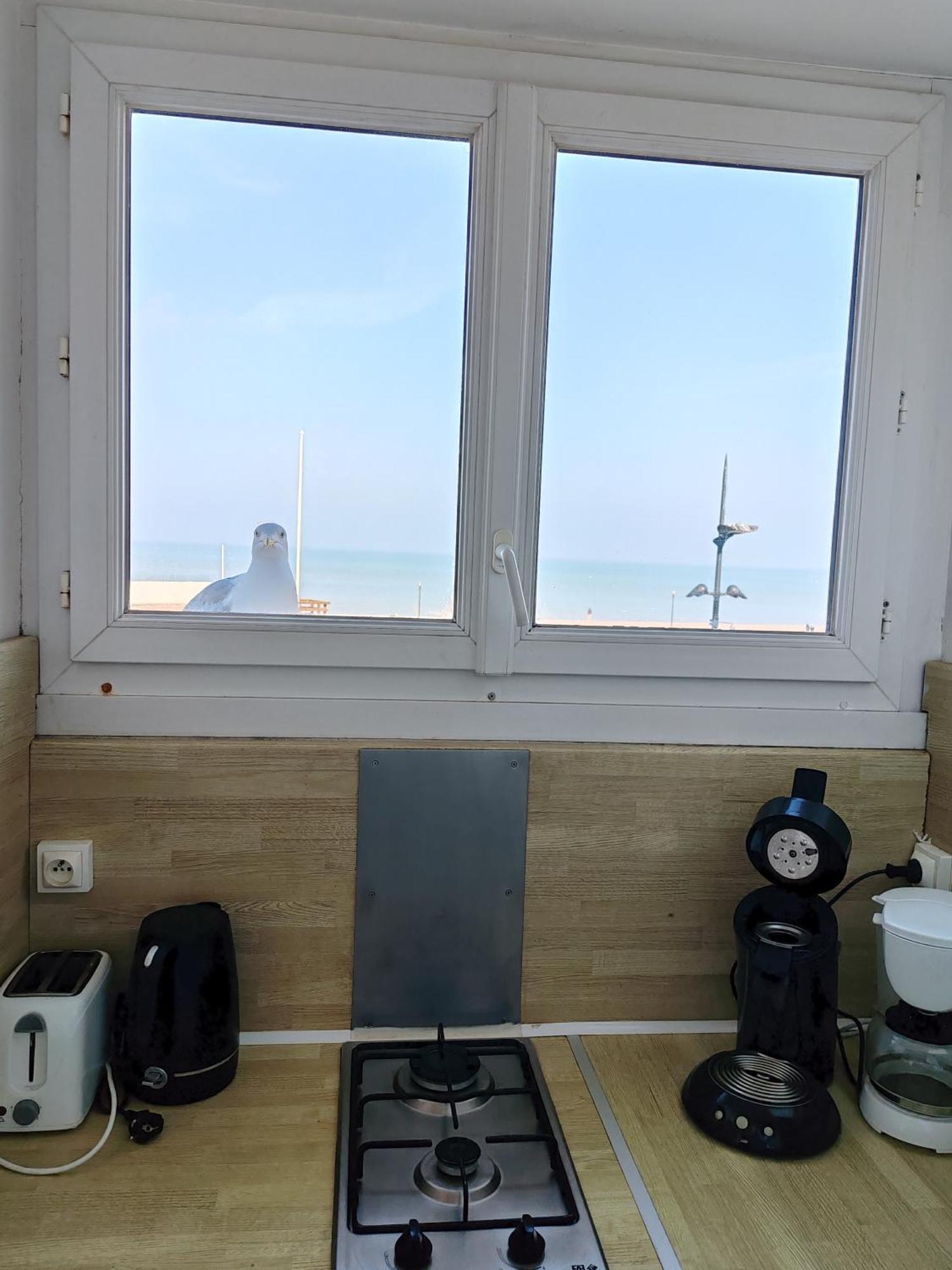Goeland Lägenhet Le Tréport Rum bild